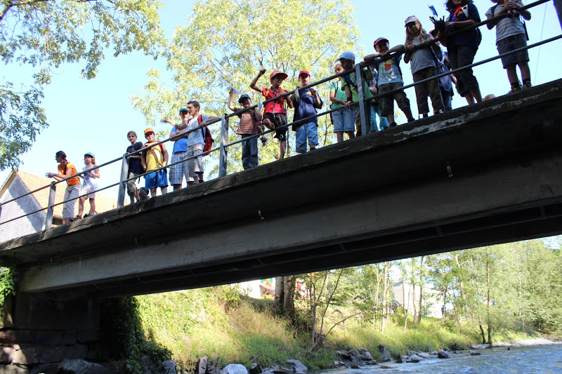 Wolfübung_Brücke.jpg